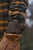 Harkila Aivak Shirt - Buckthorn Brown