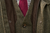Harkila Kenmore Shooting Waistcoat - Forest Green/Herringbone