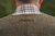 Harkila Kenmore Shooting Waistcoat - Forest Green/Herringbone
