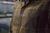 Harkila Akse Long Sleeve Shirt - Willow Green Check