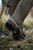 Harkila Forester Textile Rubber Boot - Willow Green/Deep Brown