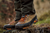 Harkila Saxnas GTX Orange Mid Brown/Orange Boots