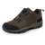 20%OFF Harkila Reidmar Low GTX - Dark Brown